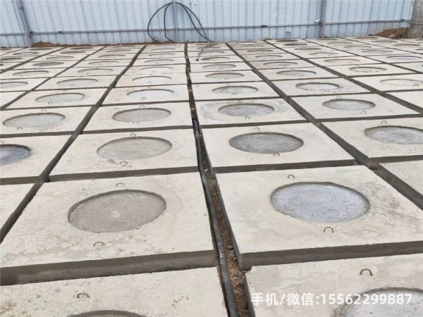 麻栗坡DP16混凝土电杆底盘